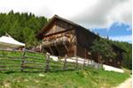Pertinger Alm