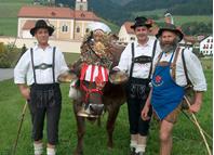 Almabtrieb in Terenten